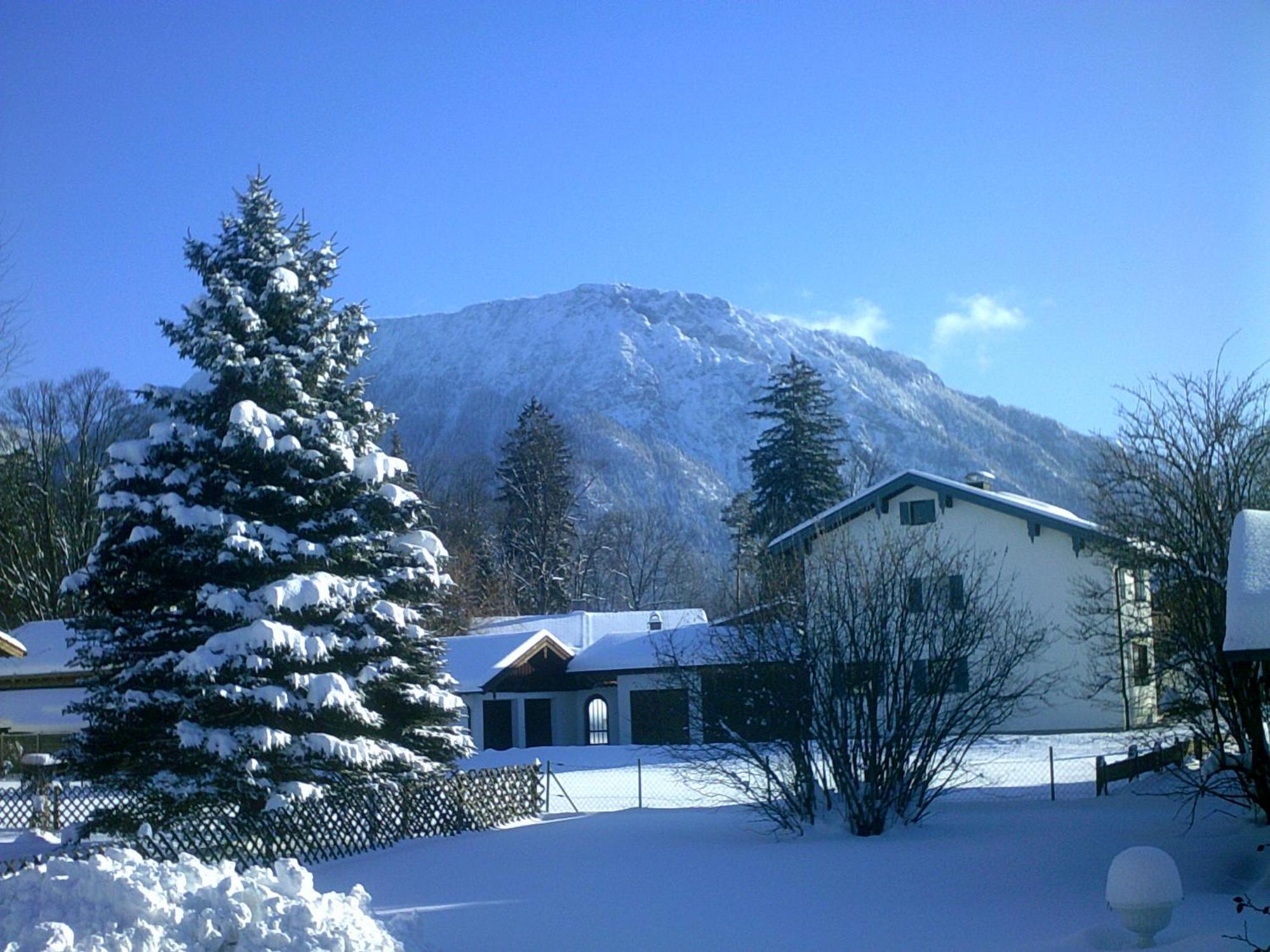 דירות רוהפולדינג Haus Alpenblick Inkl. Chiemgaukarte מראה חיצוני תמונה